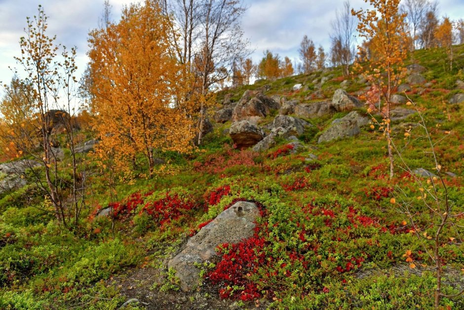 Карн Пхул