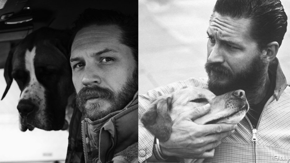 Tom Hardy обои