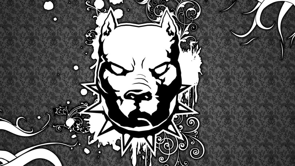 Питбуль аватар