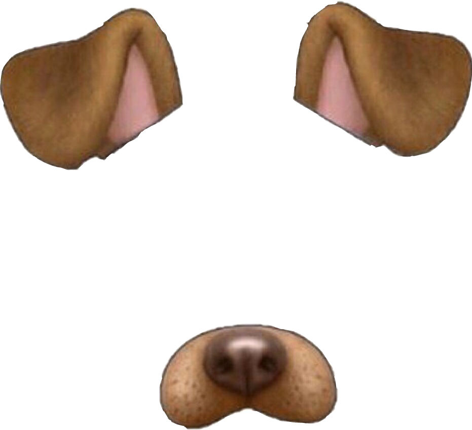 Собачьи ушки