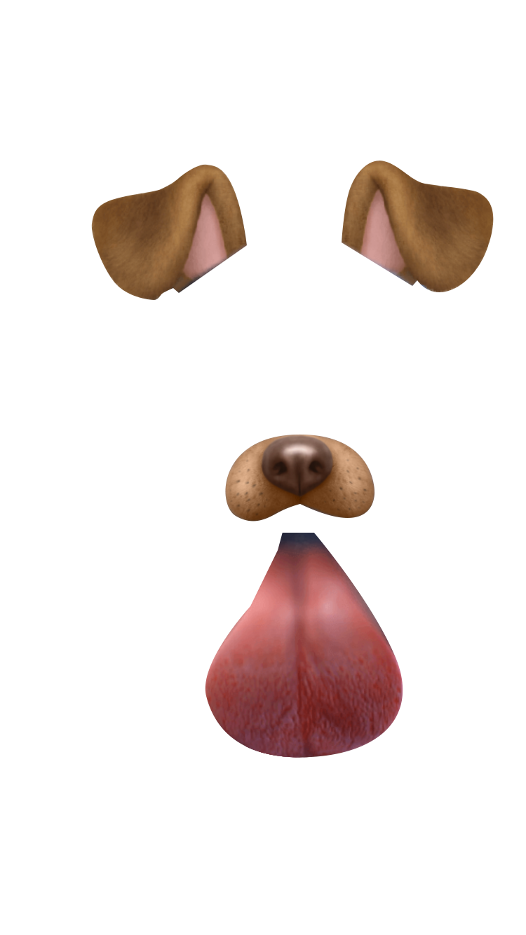 Собачьи уши из картона