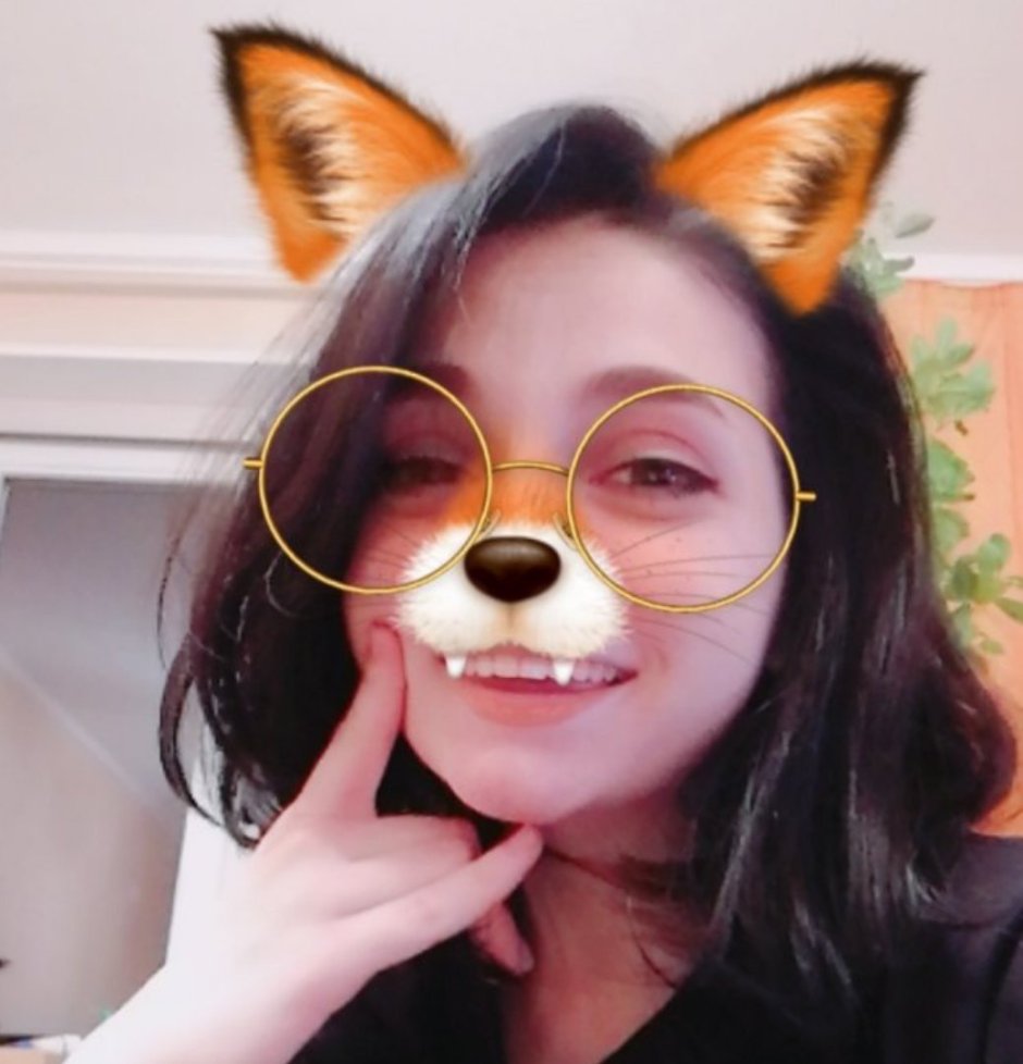 Слух собаки