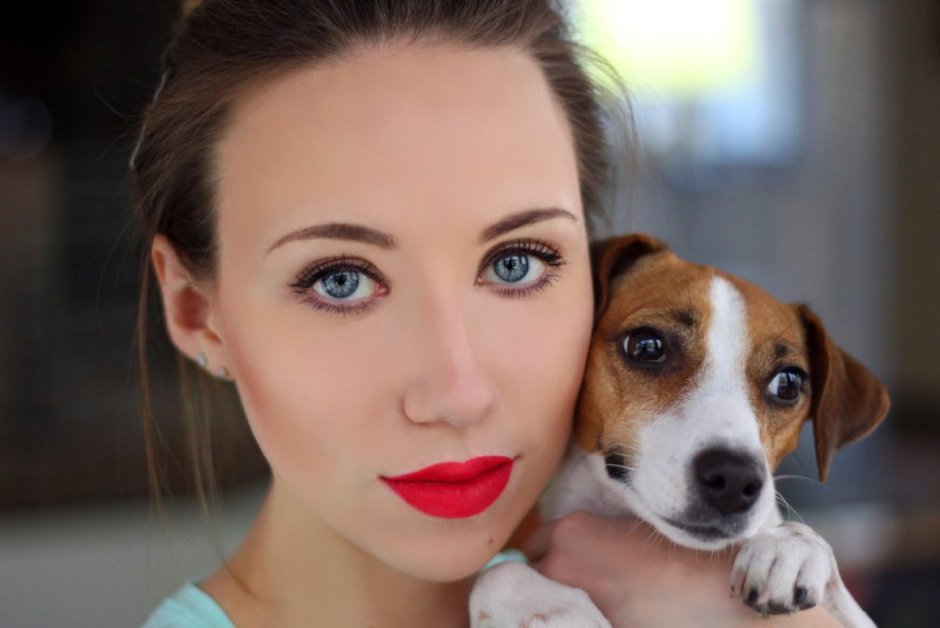 Морда собаки