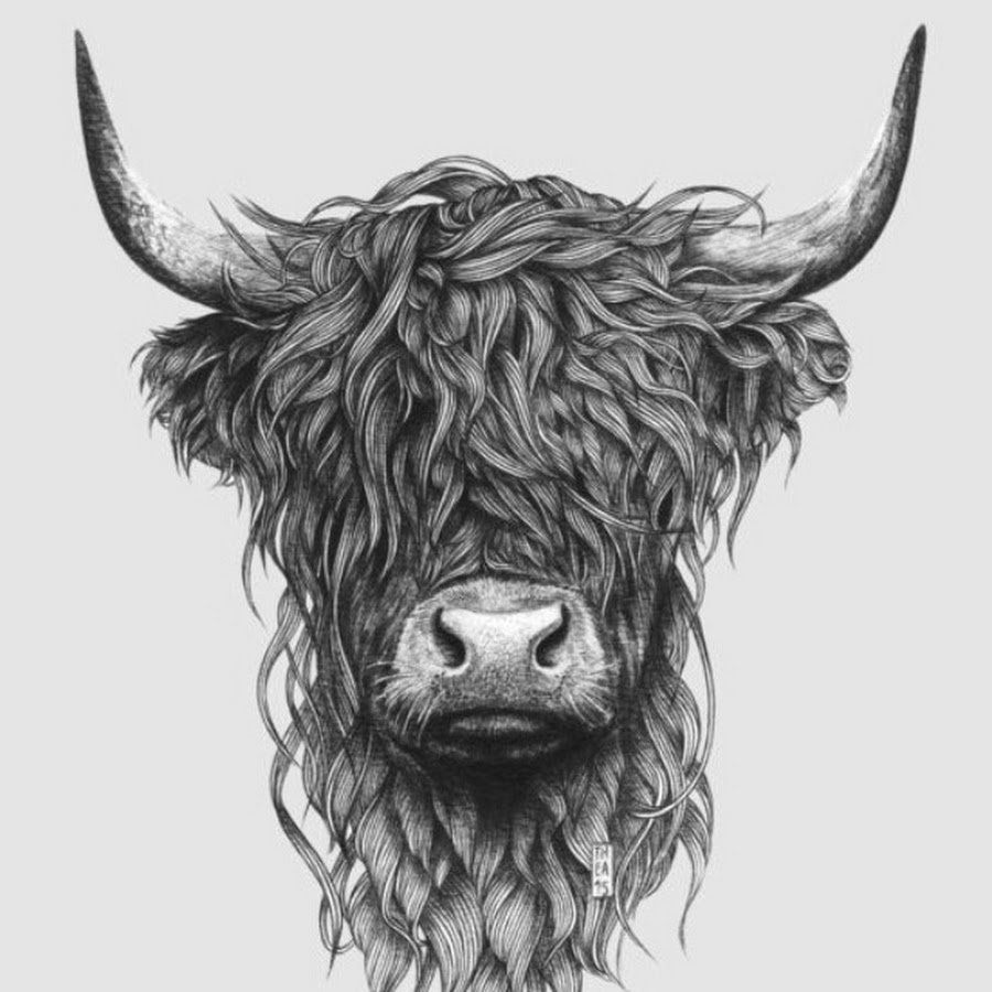 Бык эскиз