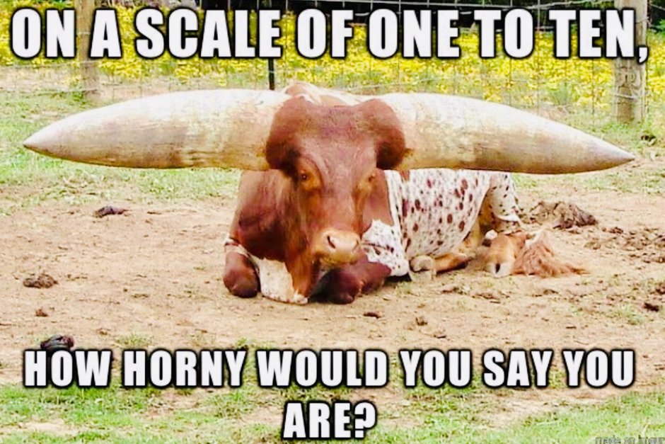 Анкола ватусси