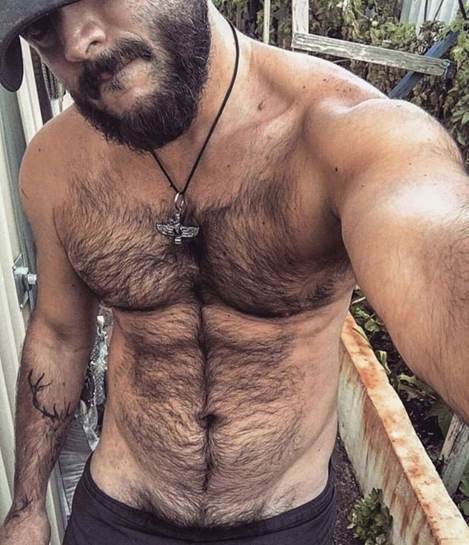 Мужской волосатый живот