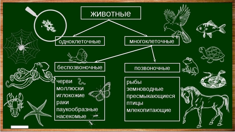 Брелок Mongoose LS 9000d