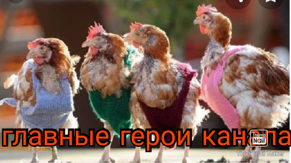 Четыре курицы