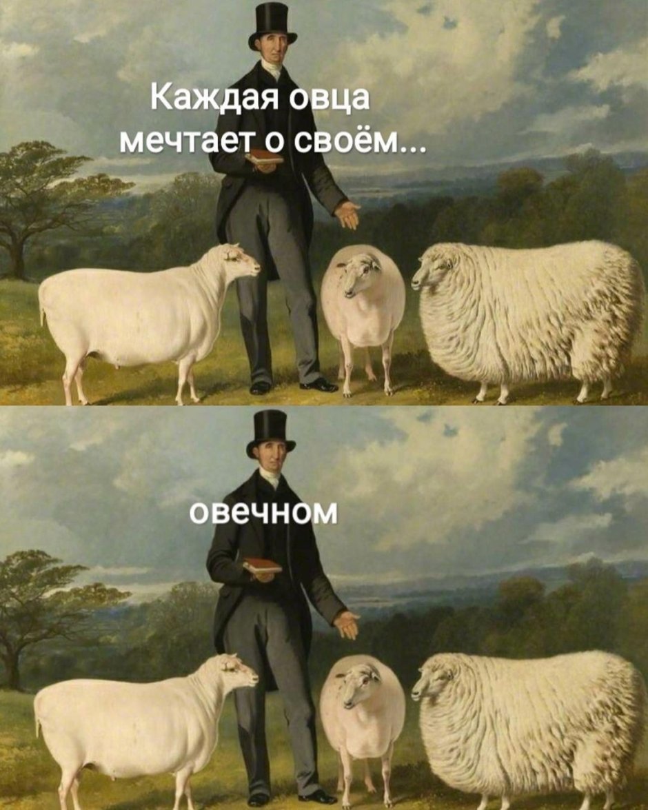 Каждая овца мечтает о своем