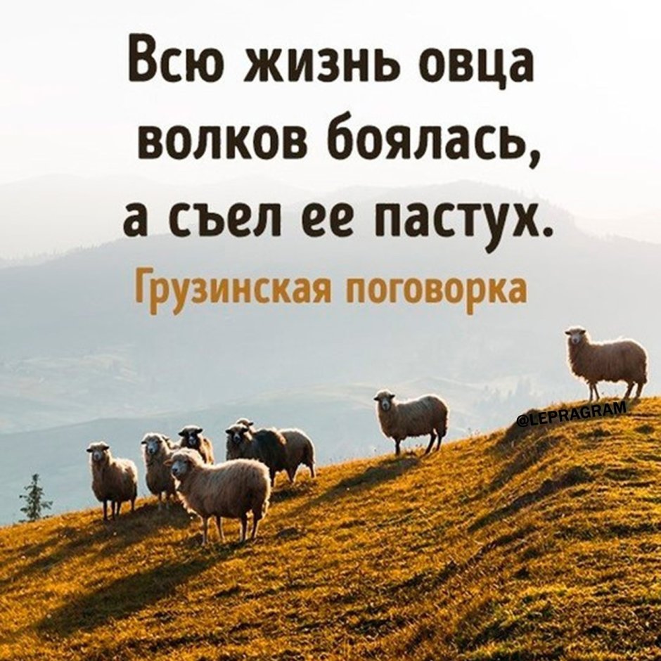 Баран зимой