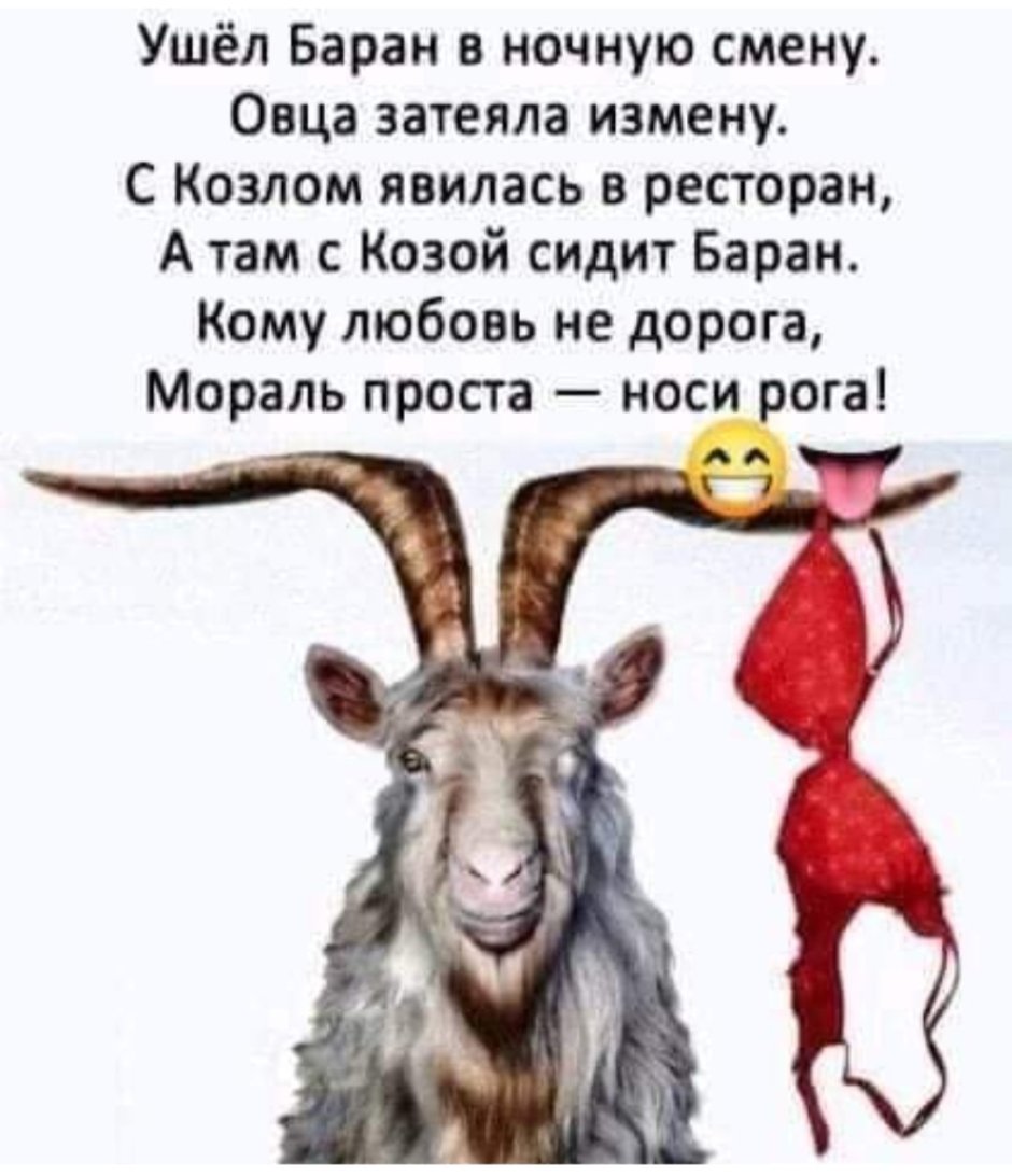 Интересные факты о животных