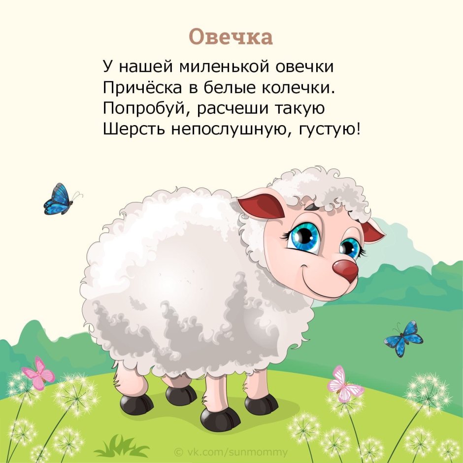 Ксюша овца