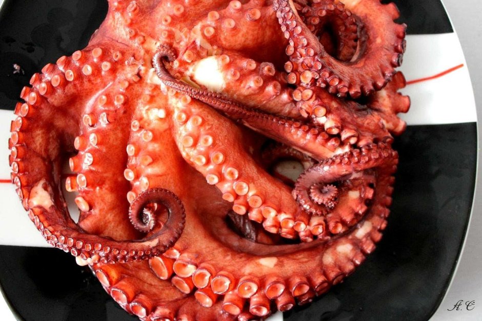 Осьминог приготовленный