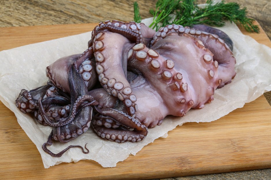 Мускардини осьминог