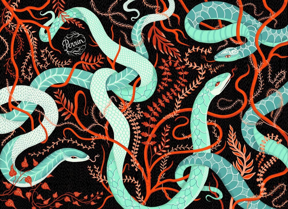 Fire Snake Wallpapers Bottle