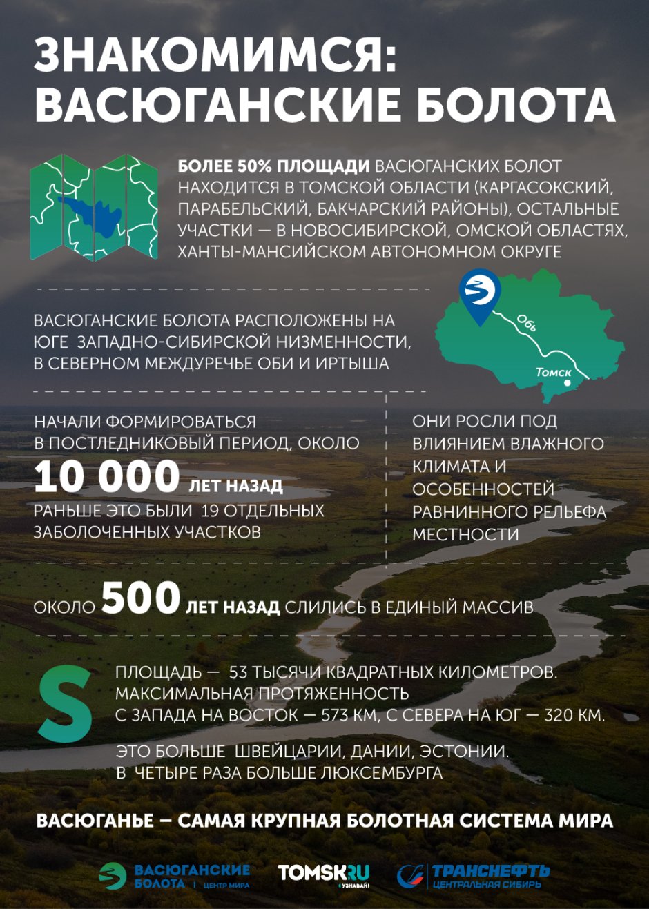 Васюганское болото растения