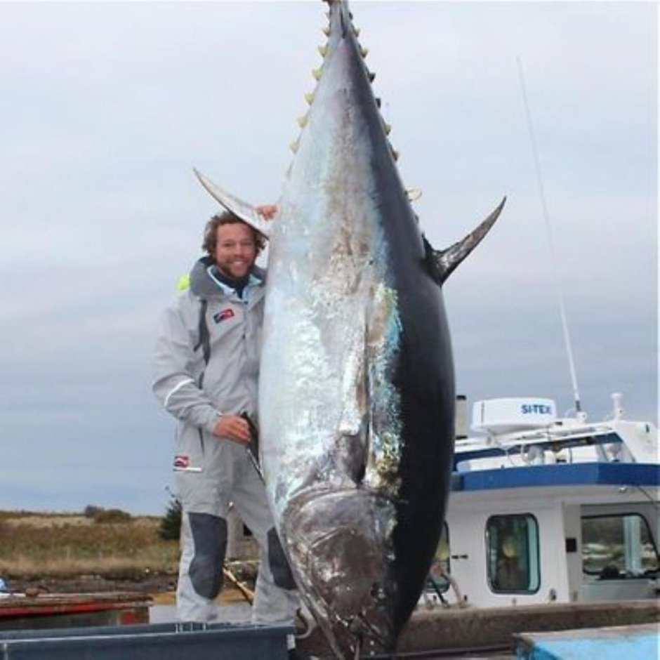 Морская рыбалка тунец