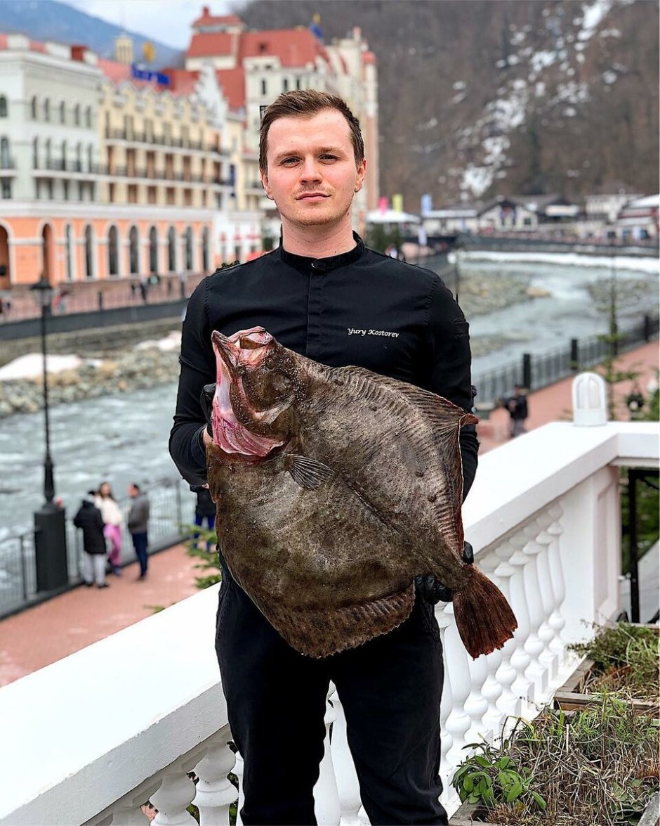 Камбала Балтийская