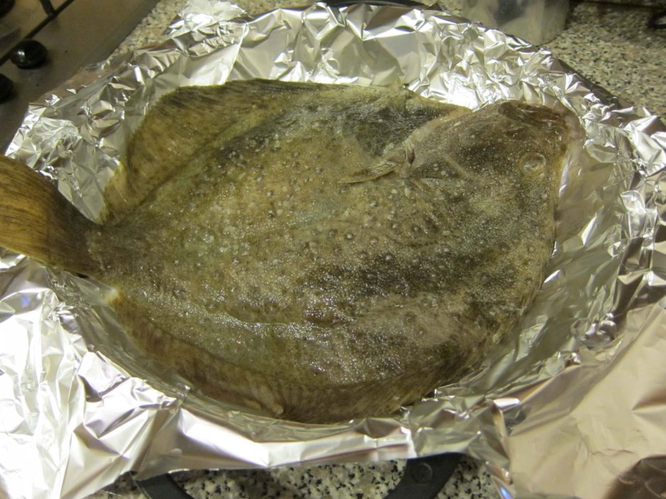 Остроголовая камбала