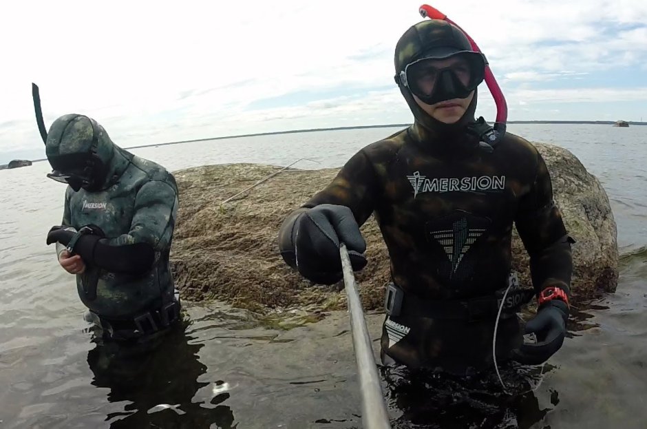 Калкан рыба вес