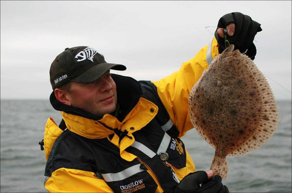 Палтус черный Гренландский