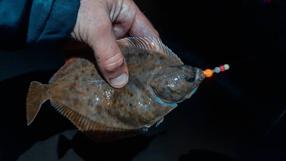 Ловля камбалы в Зеленоградске