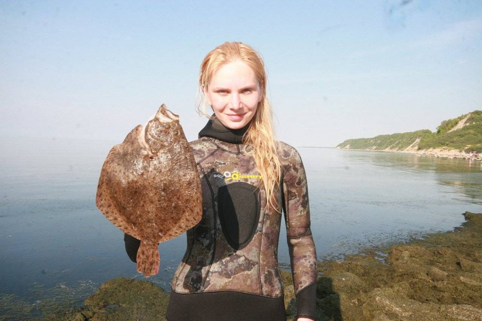 Калкан рыба Балтийский