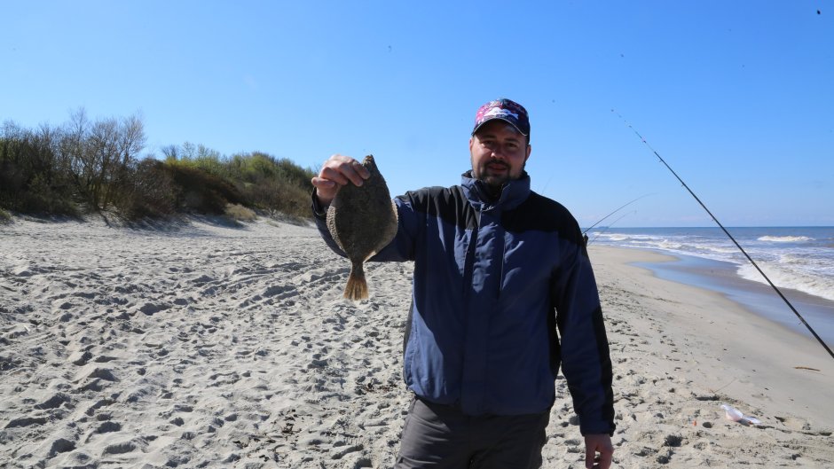 Палтус рыба