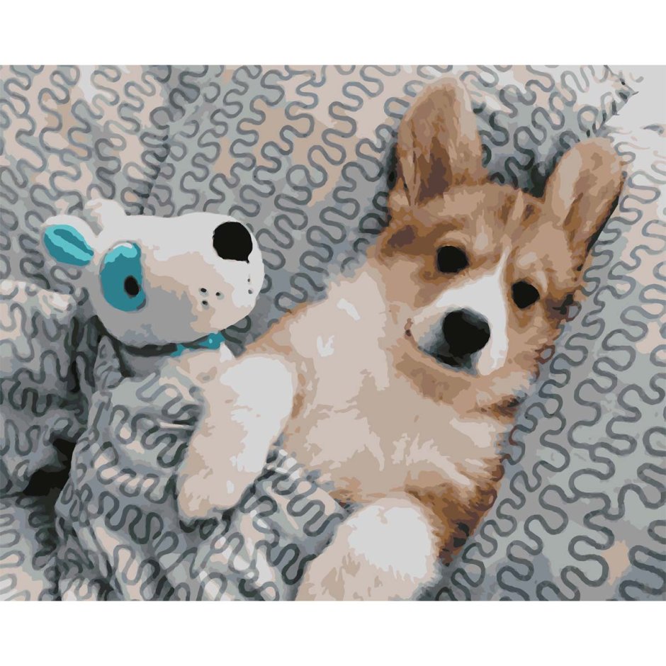 Вельш корги пемброк