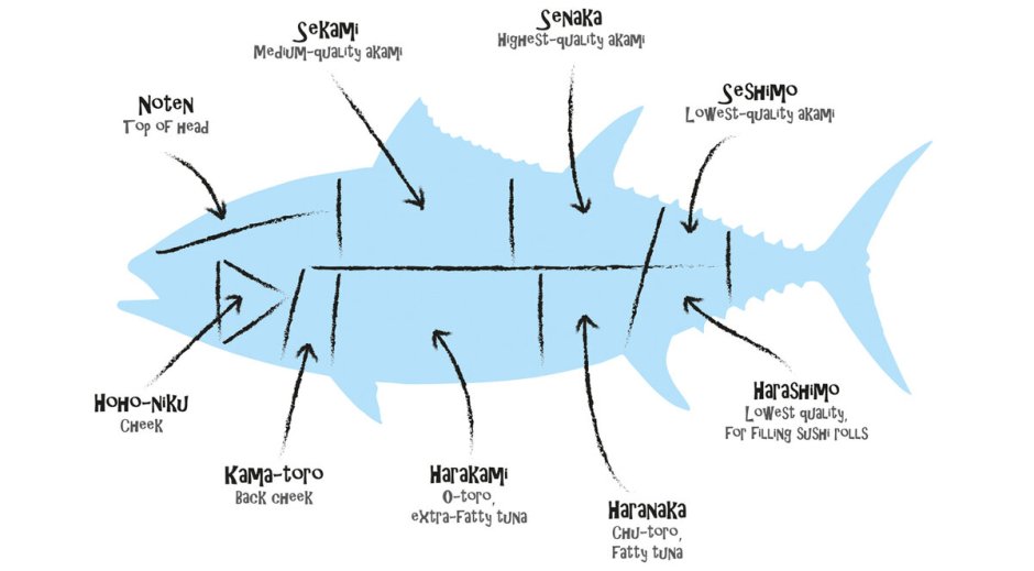 Части тунца названия