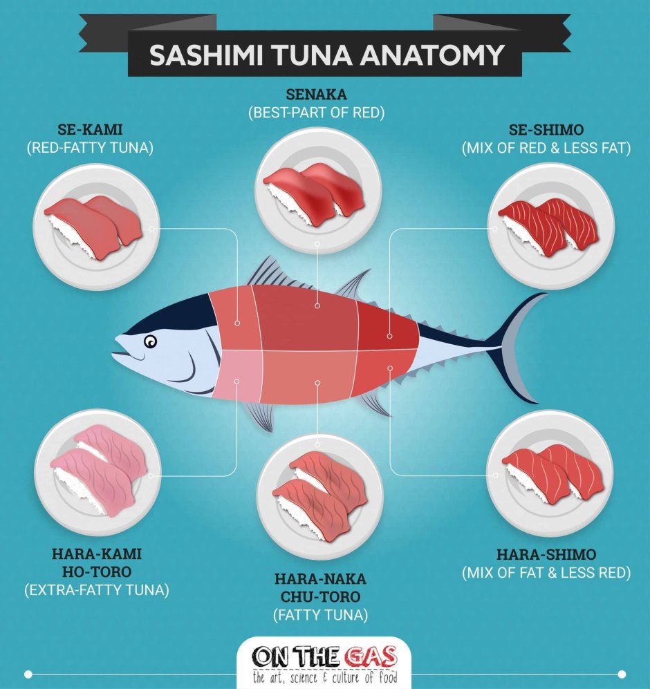 Разделка тунца схема