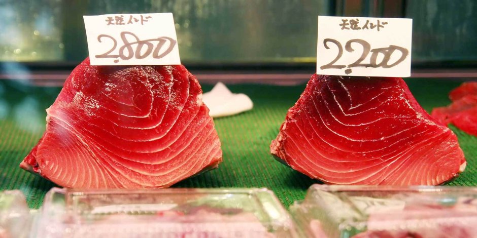 Тунец Тихоокеанский филе