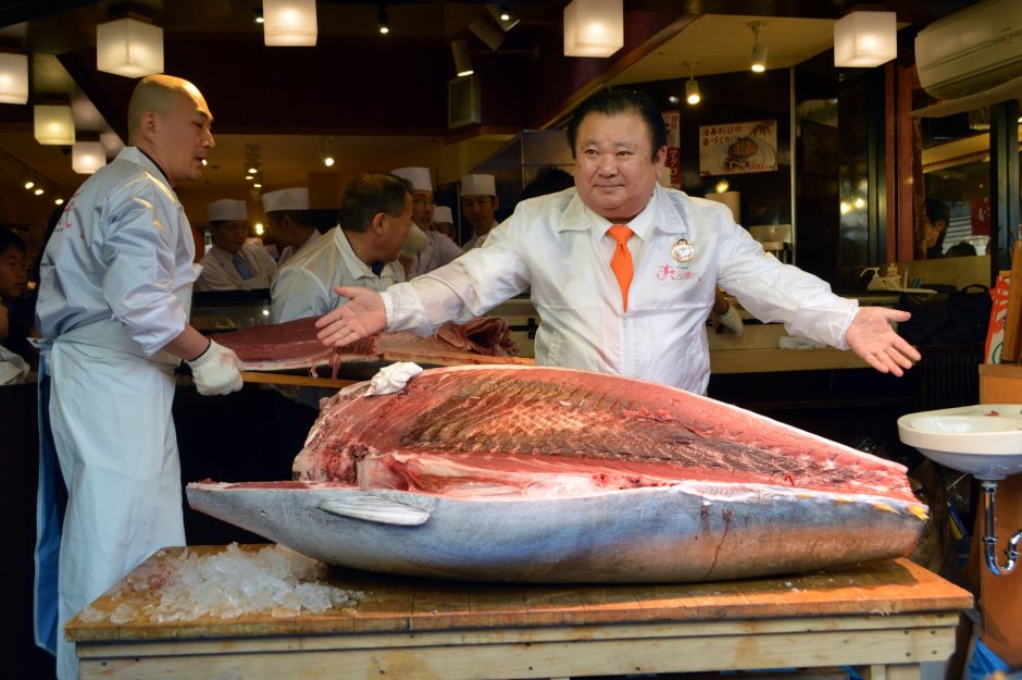 Желтоперый тунец мясо