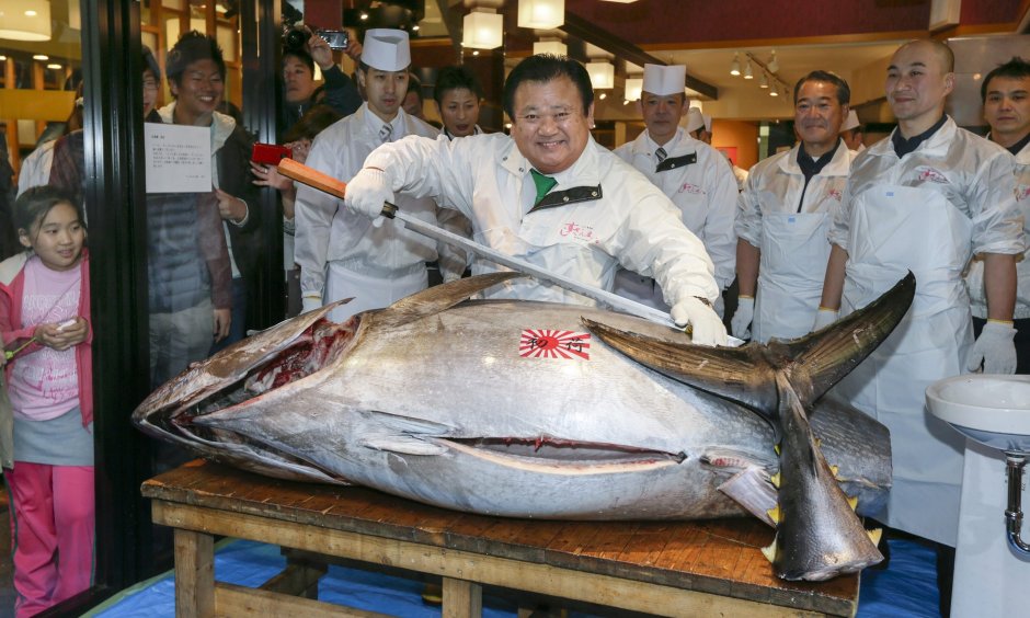 Тунец красная рыба