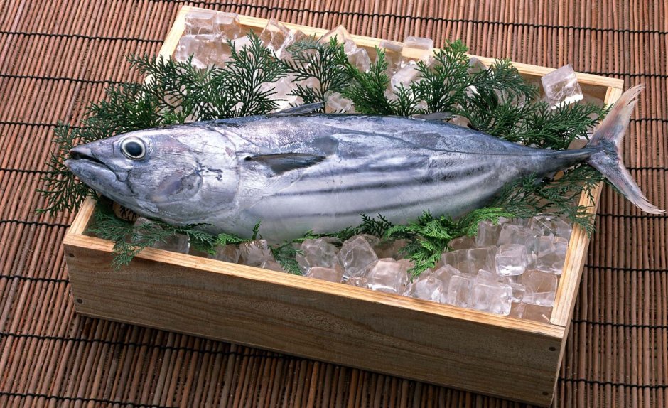 Морские рыбы рисунок