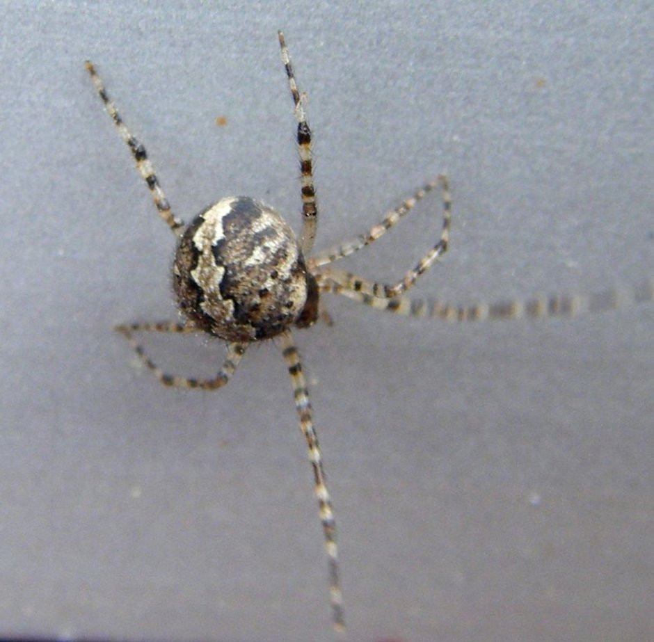 Человек толкает камень в гору