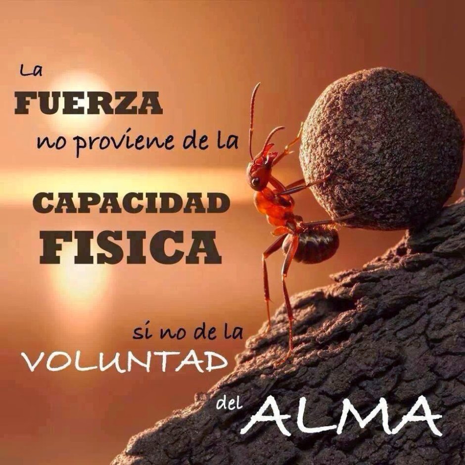 Сизиф бизнесмен