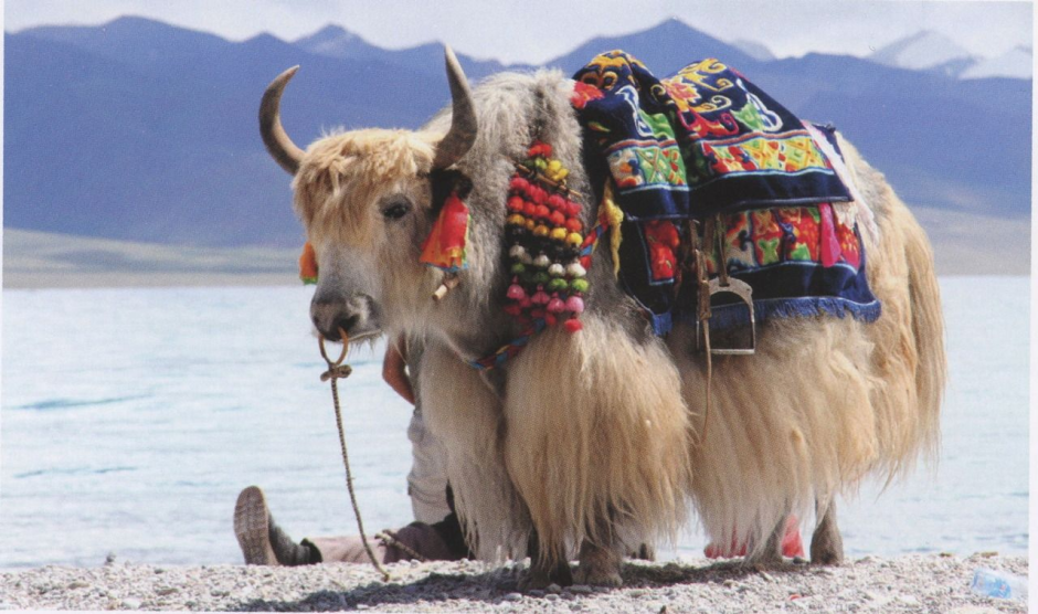 Gannan Tibetan Autonomous