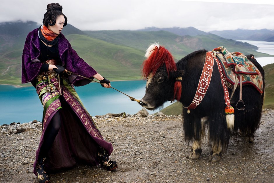 Wang yi Guang картины