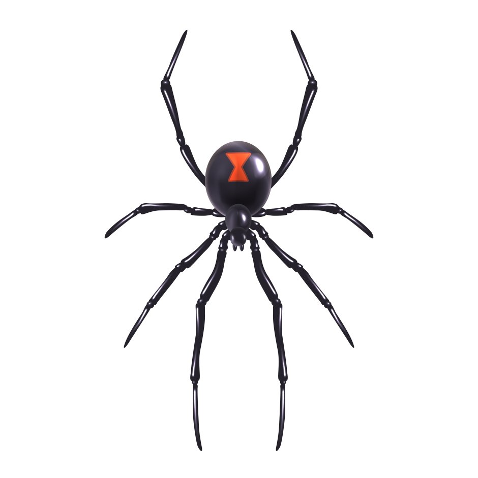 Dysdera crocata