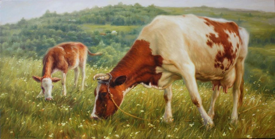 Корова картина