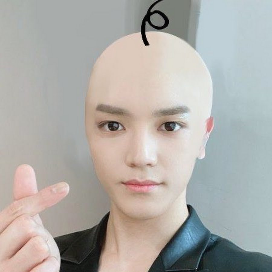 Собака с челкой Мем