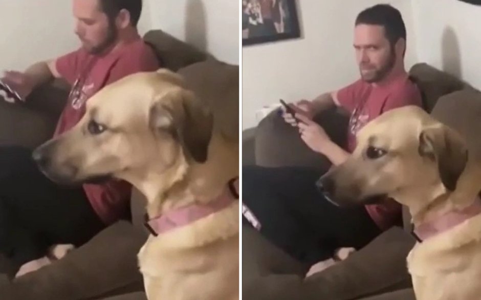 Девушка притворяется собакой