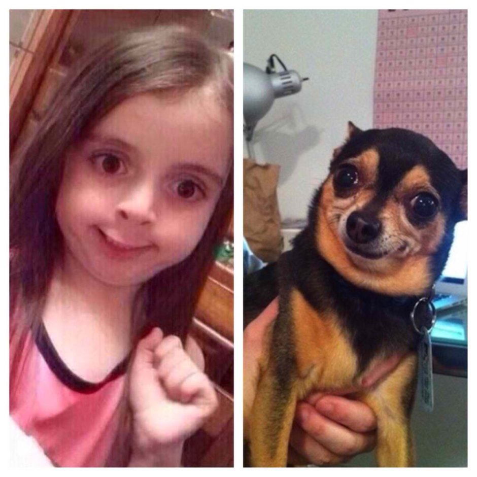 Девочка похожа на собаку