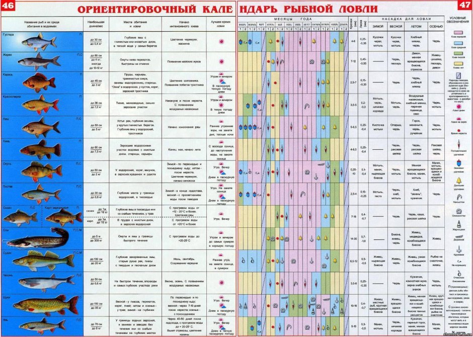 Таблица активности рыбы по месяцам