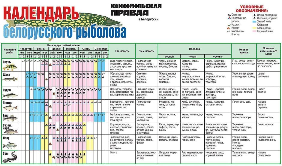 Много карасей на траве