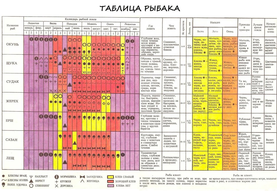 Нерест карася