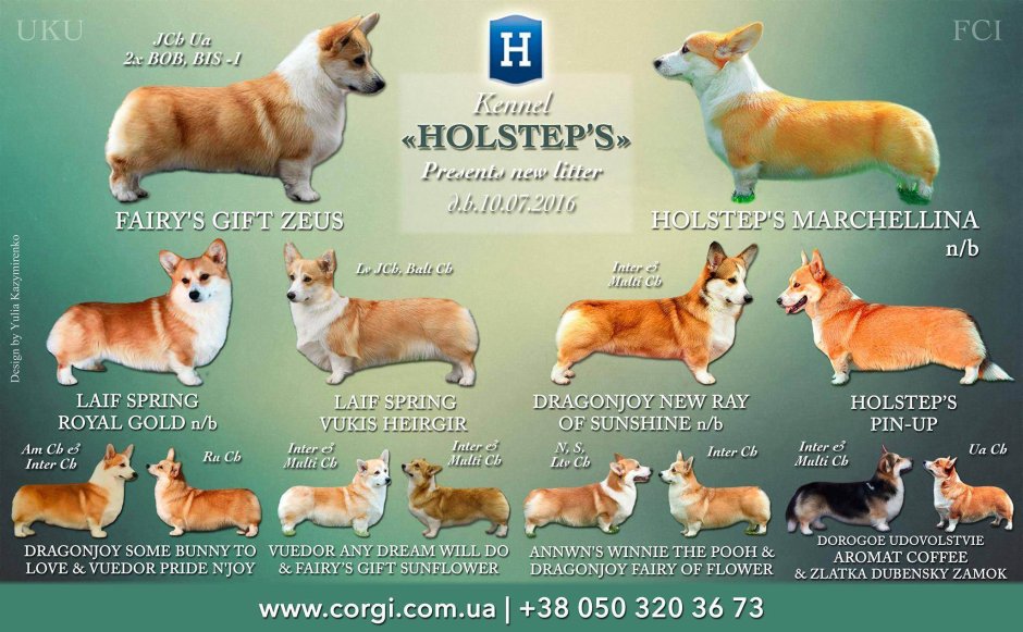 Вельш корги пемброк