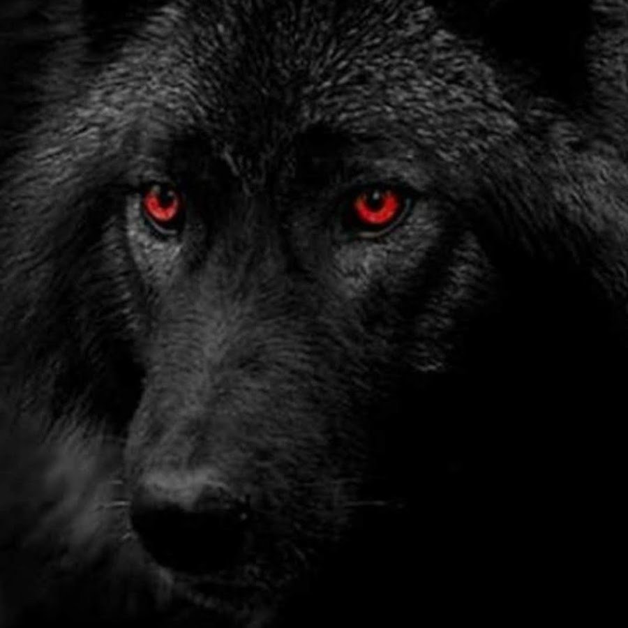 Дьявол на черном фоне