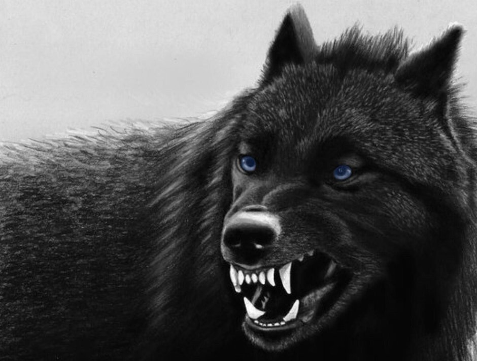 Mayhem обложка Deathcrush